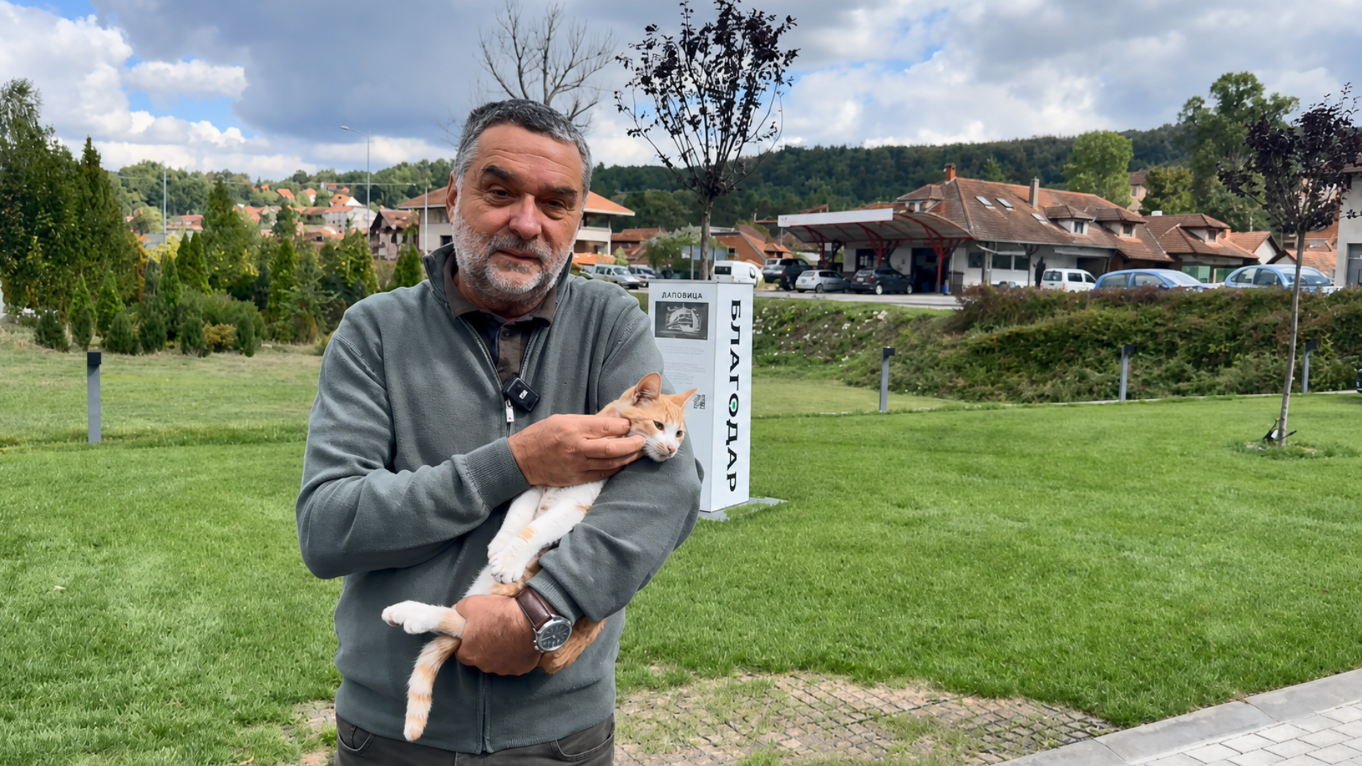 Dosejavanje trave - kako popraviti fleke na travnjaku