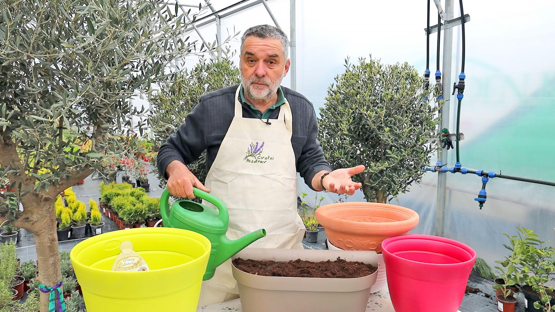 Prolećna priprema cveća - izbegnite najčešće greške