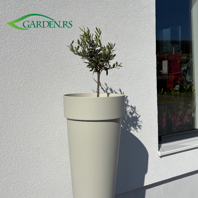 Saksija Melros visoka okrugla 65 Bež