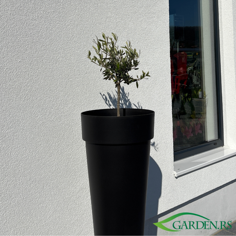 Saksija Melros visoka okrugla 65 Crna