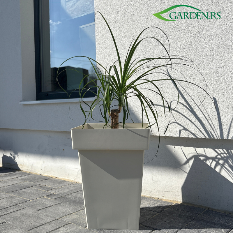 Saksija Melrose 40cm Bež