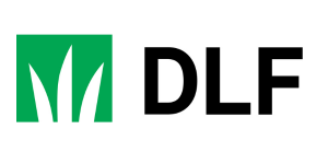 DLF